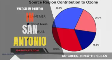 Unveiling San Antonio's Pollution: Sources and Solutions