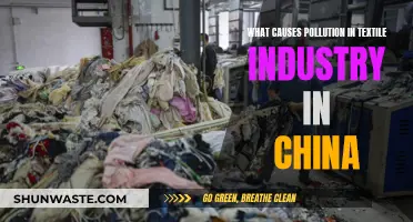 Unraveling China's Textile Industry: Sources of Environmental Pollution