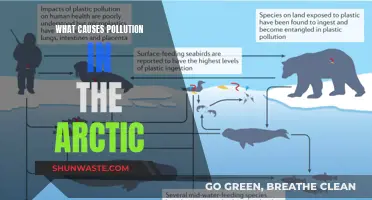 Unveiling the Arctic's Hidden Pollutants: Sources and Solutions