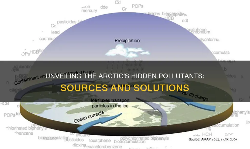 what causes pollution in the arctic