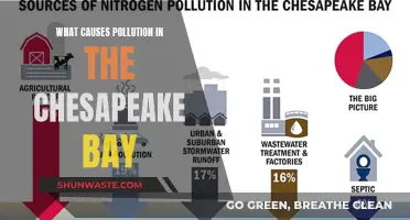 Unveiling the Sources: Why Chesapeake Bay Faces Pollution Crisis