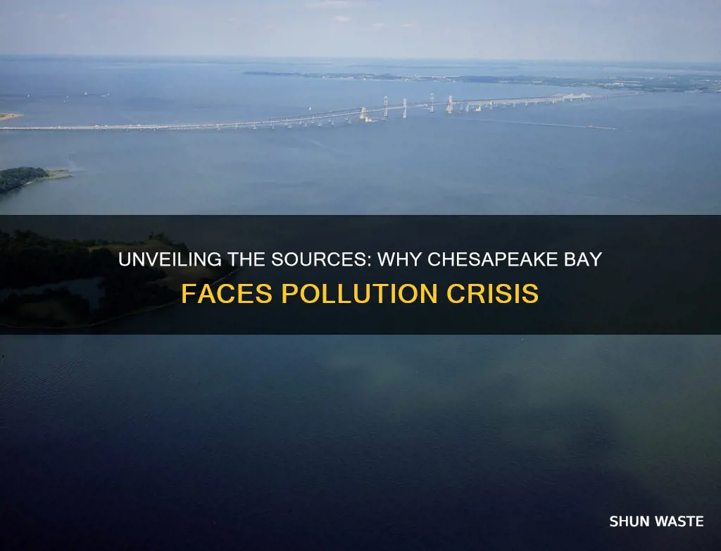 what causes pollution in the chesapeake bay