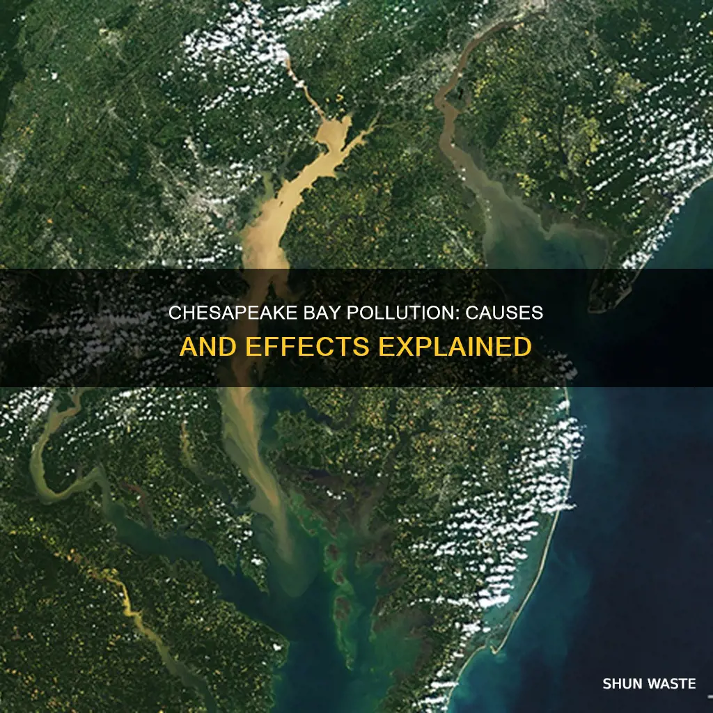 what causes pollution in the chesapeake bay