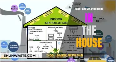 Unveiling Hidden Sources: What Causes Pollution in Your Home?