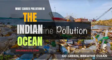 Unveiling the Sources: Understanding Ocean Pollution in India