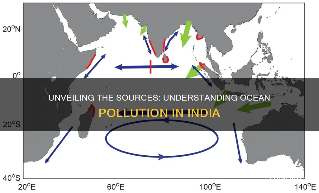 what causes pollution in the indian ocean