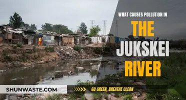 Unveiling the Jukskei River's Pollutants: Sources and Solutions