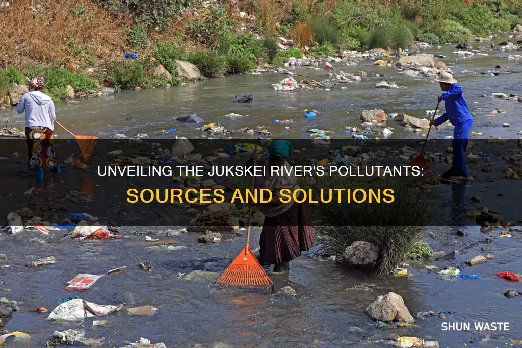 what causes pollution in the jukskei river