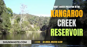 Unveiling the Sources: Understanding Pollution in Kangaroo Creek Reservoir