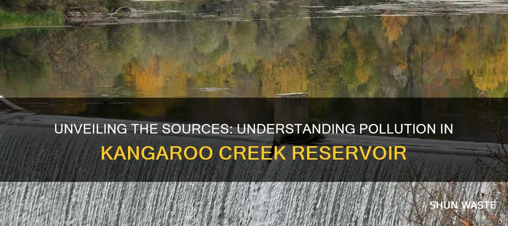 what causes pollution in the kangaroo creek reservoir