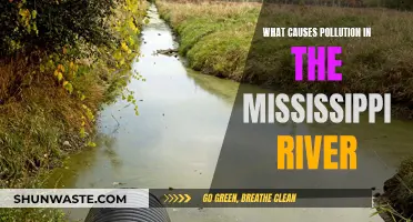 Unveiling the Mississippi River's Pollution: Sources and Solutions