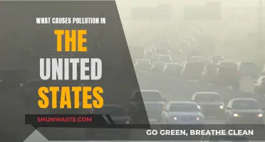 Unveiling America's Pollution: Sources, Impact, and Solutions