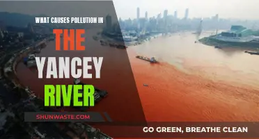 Unveiling the Yancey River's Pollution: Sources and Solutions