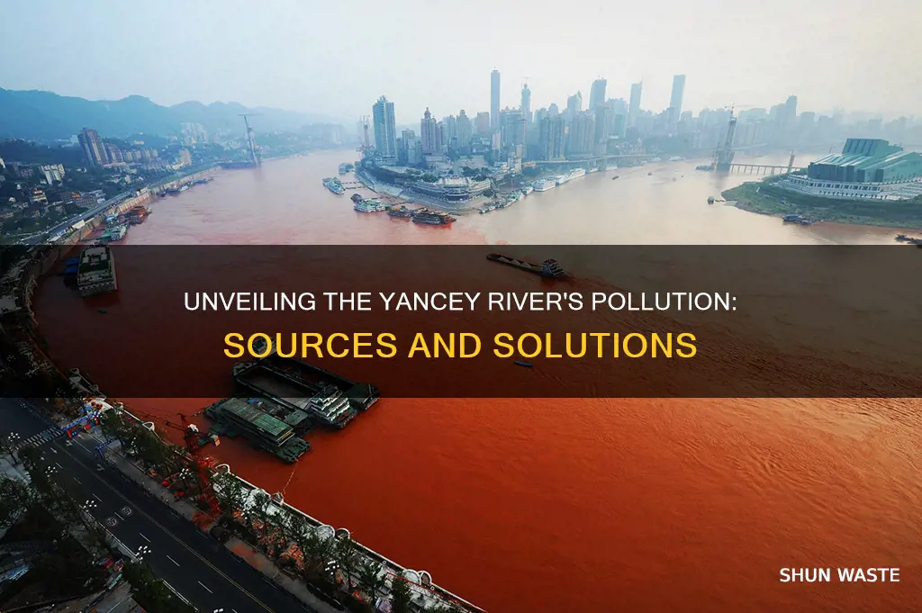 what causes pollution in the yancey river