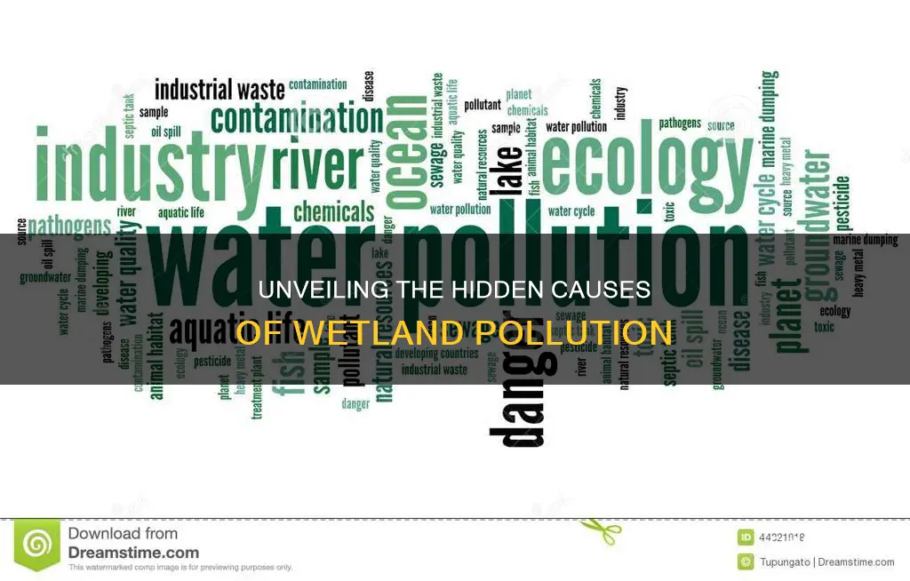 what causes pollution in wetlands