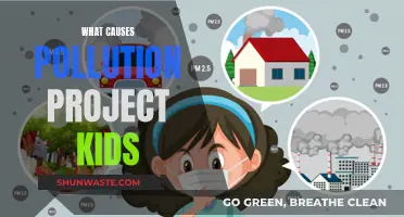 Unveiling the Culprits: A Kid's Guide to Pollution Causes