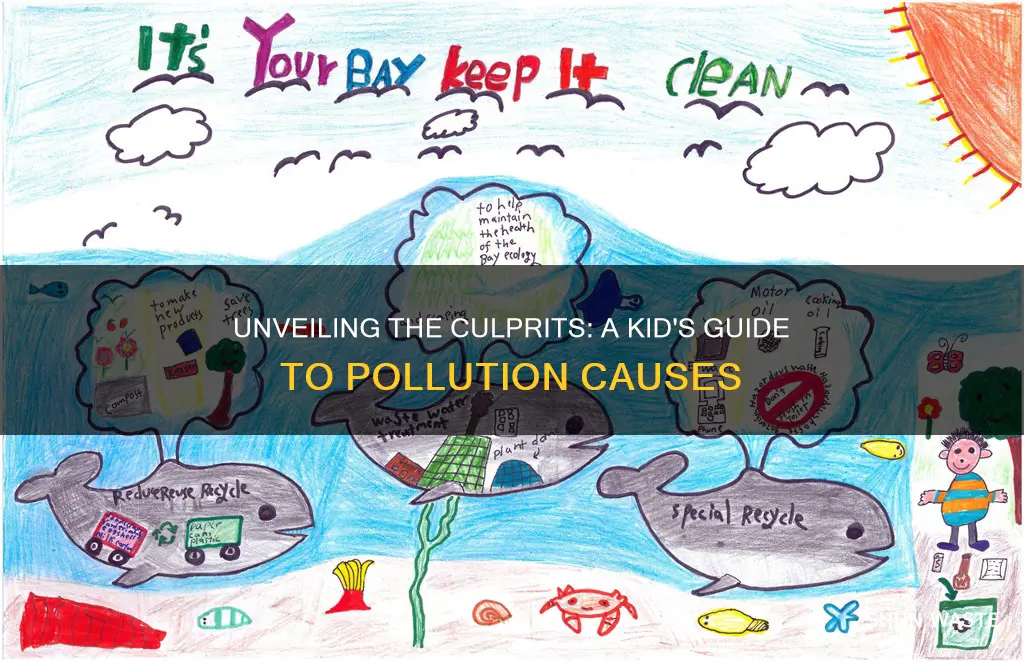 what causes pollution project kids