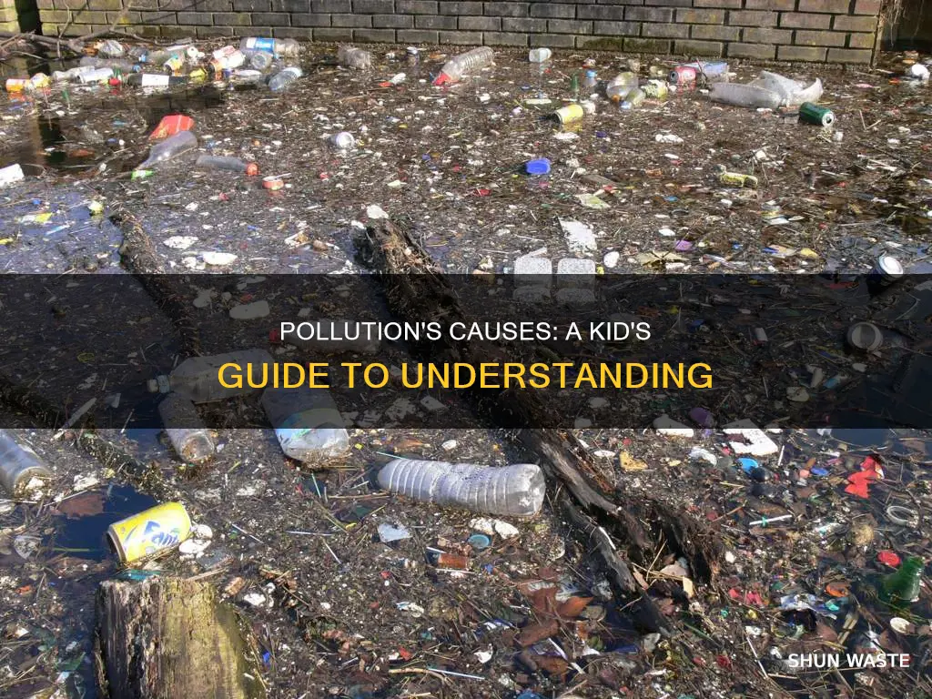 what causes pollution project kids