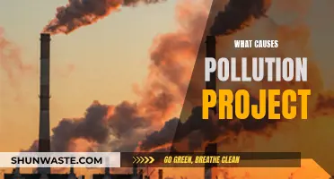 Unveiling the Sources: A Deep Dive into Pollution Causes