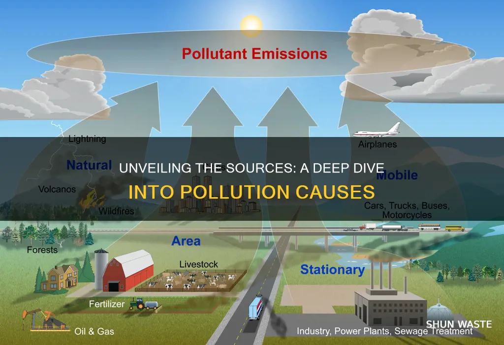 what causes pollution project