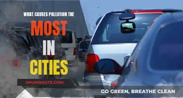 Unveiling Urban Pollution: Sources and Solutions for a Greener City