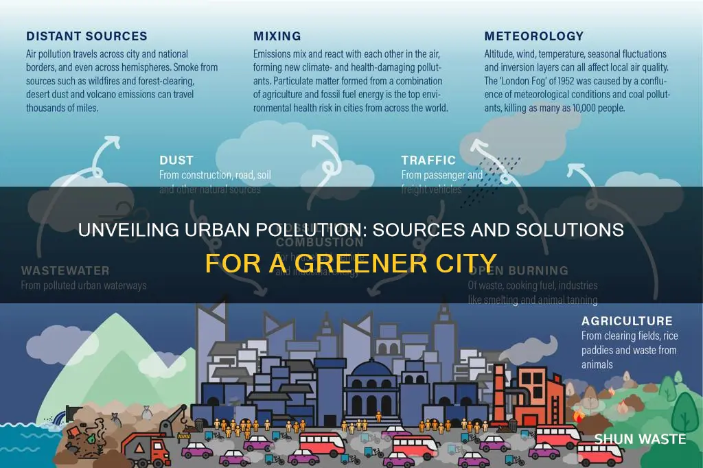 what causes pollution the most in cities