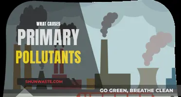 Unveiling the Sources: Understanding Primary Pollutants and Their Origins