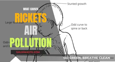 Unveiling the Link: Air Pollution's Role in Rickets