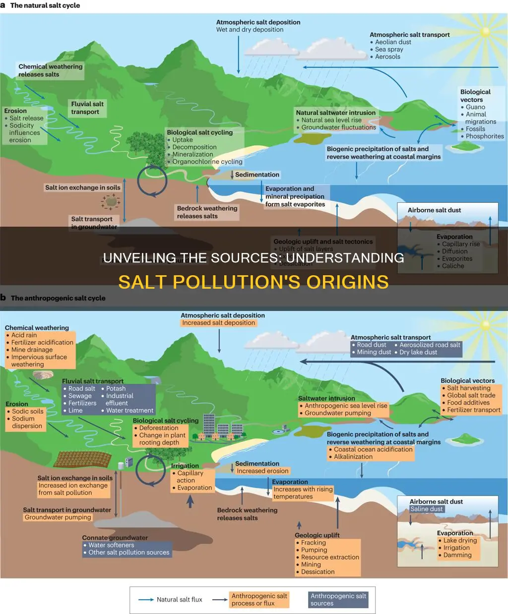 what causes salt pollution