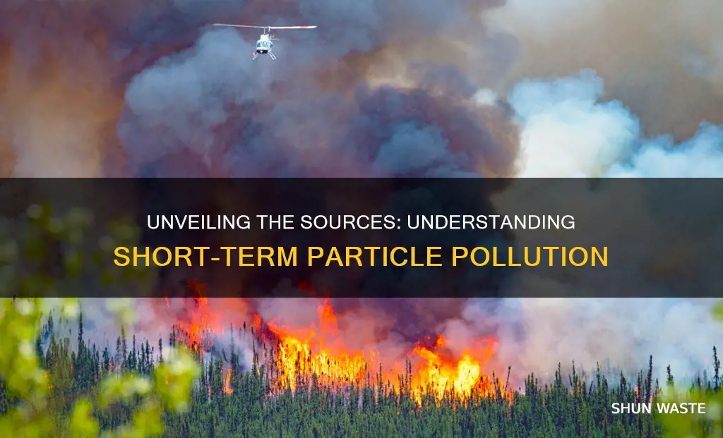 what causes short term particle pollution