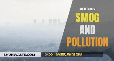 Unveiling the Sources: Understanding Smog and Pollution Causes