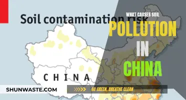 Unveiling China's Soil Pollution: Sources and Solutions