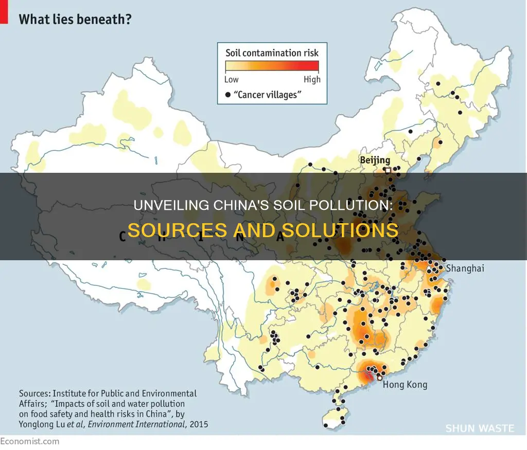 what causes soil pollution in china