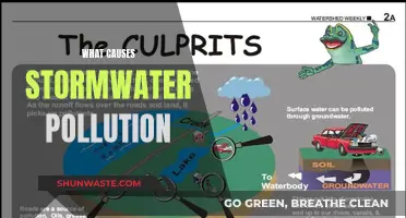 Unveiling the Hidden Culprits: Stormwater's Surprising Pollution Sources