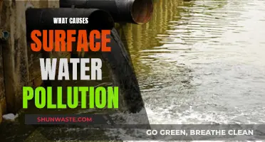 Unveiling the Sources: Understanding Surface Water Pollution Causes