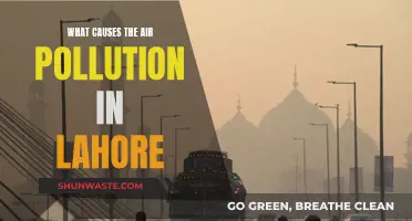 Unveiling Lahore's Air Pollution: Sources and Solutions