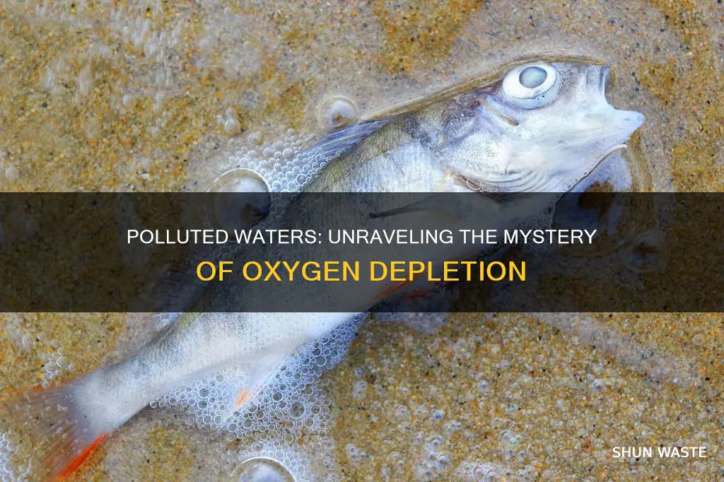 what causes the depletion of oxygen in polluted waters