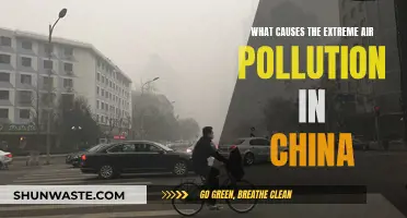 China's Air Pollution: Understanding the Crisis