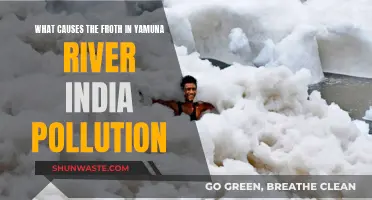 Unveiling the Mystery: Yamuna River's Frothy Pollution Enigma