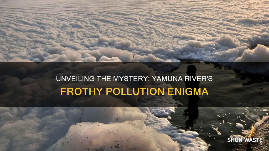 what causes the froth in yamuna river india pollution