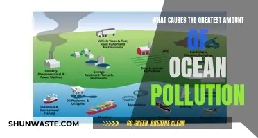 Unveiling the Top Sources of Ocean Pollution: A Comprehensive Guide