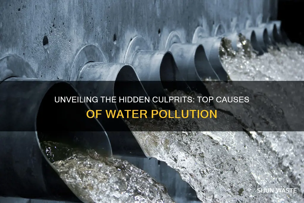 what causes the greatest amount of water pollution