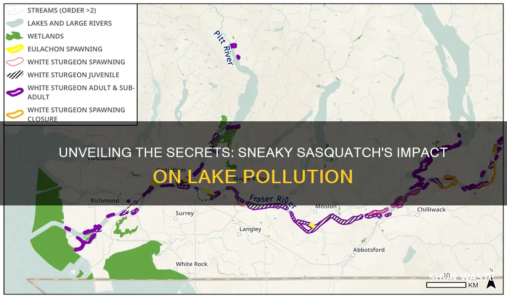 what causes the lake pollution in sneaky sasquatch