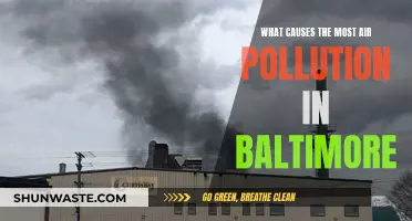 Unveiling Baltimore's Air Pollution: Sources and Solutions