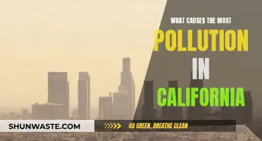 Unveiling California's Pollution: Sources and Solutions