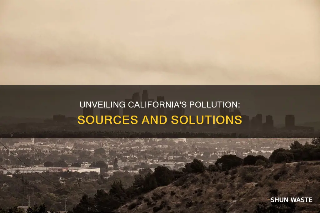 what causes the most pollution in california