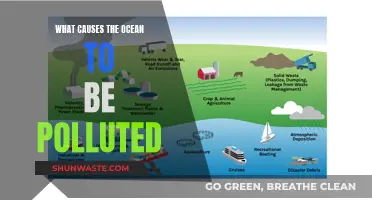 Unveiling the Ocean's Polluted Secrets: Causes and Solutions