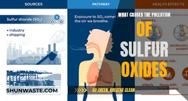 Unveiling the Sources: Sulfur Oxides Pollution Explained