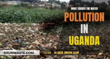 Unveiling Uganda's Water Woes: Sources of Pollution Revealed