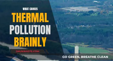 Understanding Thermal Pollution: Causes and Impact